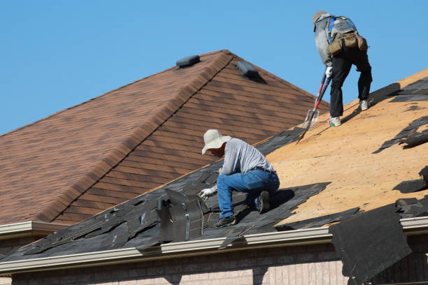 Best Chimney Flashing Repair  in Clawson, MI